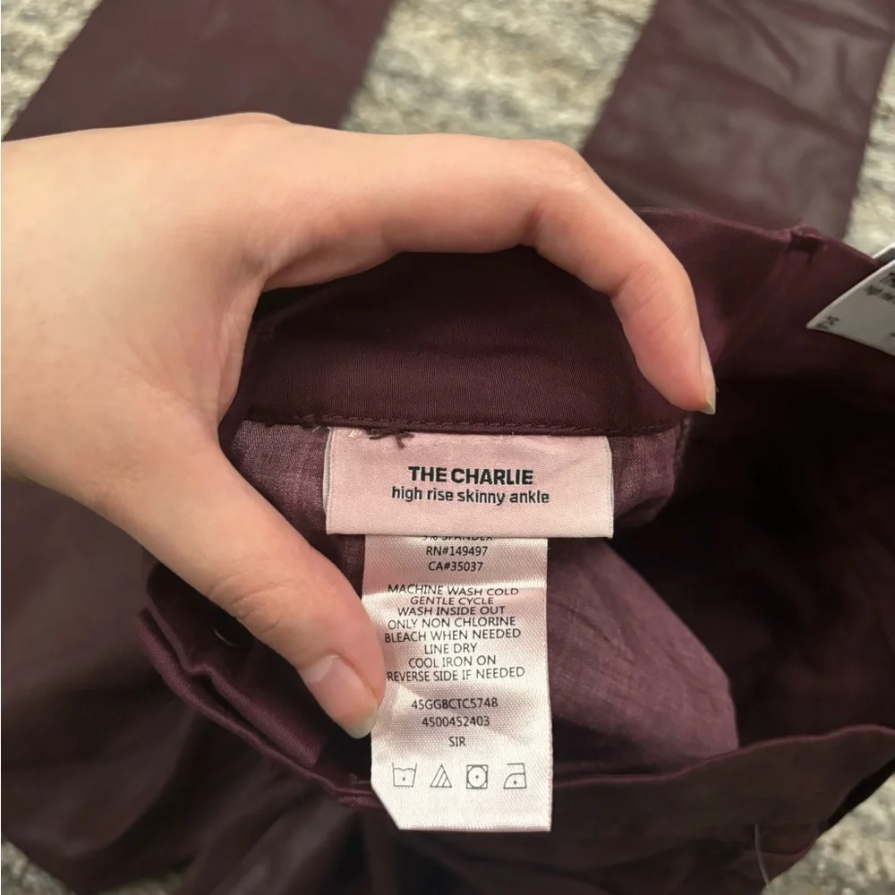 Joe’s The Charlie High Rise Ankle Skinny Jeans Sz 25 NWT | Joe’s Skinny Jeans -